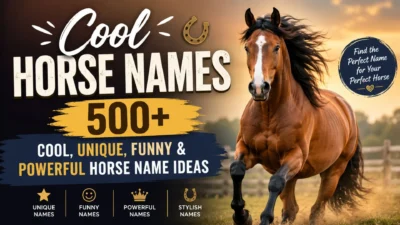 Cool horse names featured image with a majestic brown horse and 500+ unique, funny, and powerful horse name ideas