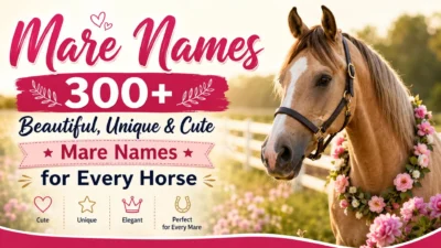 Beautiful mare in a flower garland with 300+ mare names for every horse including unique, cute, and elegant name ideas