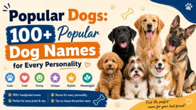 Popular dog names with cute, cool, funny, unique, stylish, and meaningful ideas